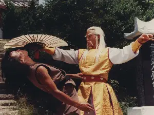 소림사 주방장 포스터 (The Shaolin Chief Cook poster)