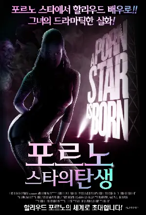 포르노 스타의 탄생 포스터 (A Pornstar Is Born poster)