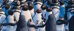 해피 피트 2 포스터 (Happy Feet 2 In 3D poster)