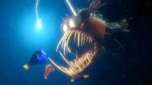 니모를 찾아서 포스터 (Finding Nemo poster)