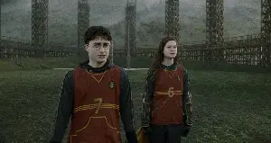 해리 포터와 혼혈 왕자 포스터 (Harry Potter And The Half-Blood Prince poster)