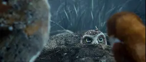 가디언의 전설 포스터 (Legend Of The Guardians: The Owls Of Ga'Hoole poster)