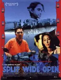 스플릿 와이드 오픈 포스터 (Split Wide Open poster)