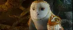 가디언의 전설 포스터 (Legend Of The Guardians: The Owls Of Ga'Hoole poster)