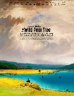 야생 배나무 포스터 (The Wild Pear Tree poster)