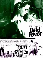 분노의 강 포스터 (Wild River poster)