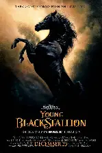 스텔리온 포스터 (The Young Black Stallion poster)