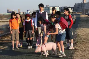 P짱은 내친구 포스터 (School Days With A Pig poster)