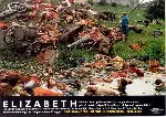 엘리자베스 포스터 (Elizabeth poster)