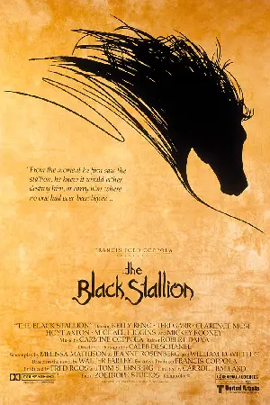 검은 종마 포스터 (The Black Stallion poster)