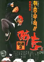 취권 2  포스터 (Drunken Master 2 poster)