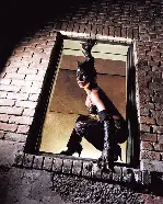 캣우먼 포스터 (Catwoman poster)