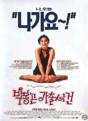박봉곤 가출사건 포스터 (The Adventure of Mrs. Park poster)