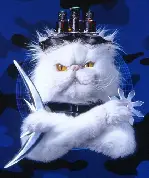 캣츠 포스터 (The Cat's Meow poster)