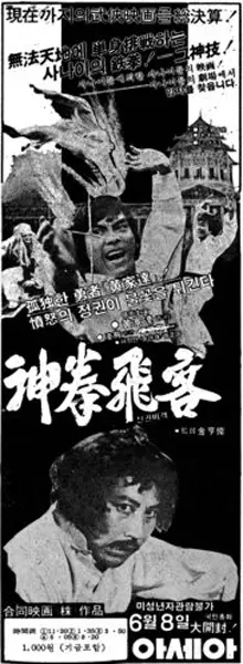 신권비객 포스터 (Fighter With Miraculous Martial Arts poster)