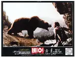 베어 포스터 (The Bear poster)