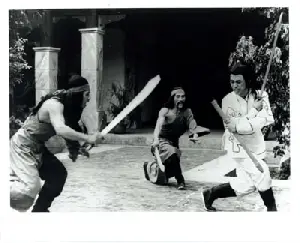 소림과 태극문 포스터 (Shaolin And The Tae-Keuk Martial Arts poster)