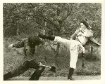 십이대천왕 포스터 (Twelve Martial Arts poster)
