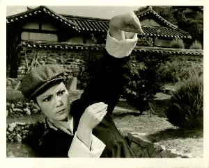 용권사수 포스터 (The Yong-Gwon Martial Arts poster)