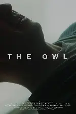 부엉이 포스터 (The Owl poster)