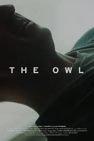 부엉이 포스터 (The Owl poster)