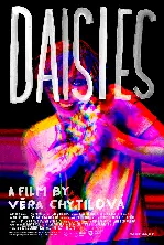 데이지 포스터 (Daisies poster)