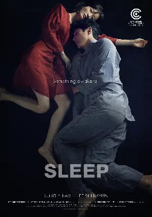 잠 포스터 (Sleep poster)