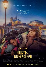 파리의 별빛 아래 포스터 (Under the Stars of Paris poster)