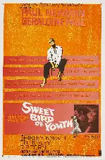 애인과 정부 포스터 (Sweet Bird of Youth poster)