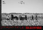 이방인 포스터 (The Stranger poster)