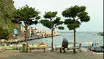 행복한 울릉인 포스터 (The Happy Island poster)