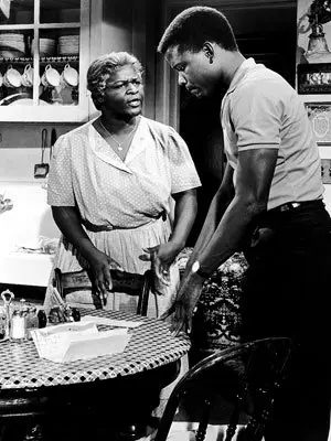 월터의 선택 포스터 (A Raisin In The Sun poster)