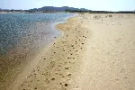 모래가 흐르는 강 포스터 (Following Sand River poster)