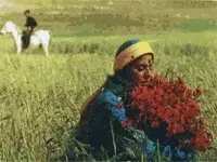 가베 포스터 (Gabbeh poster)