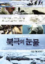 북극의 눈물 포스터 (Tears In The Arctic poster)