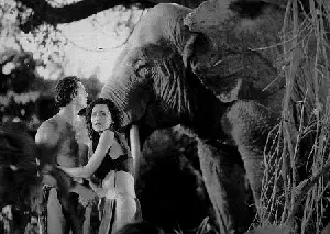 타잔과 친구들 포스터 (Tarzan And His Mate poster)