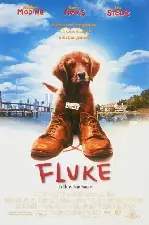 플루크  포스터 (Fluke poster)