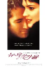 뉴욕의 가을 포스터 (Autumn In New York poster)