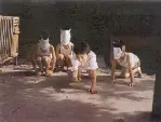 광음적고사 포스터 (In Our Time poster)