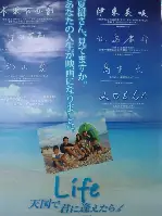 천국에서 너를 만나면 포스터 (Life: Tears In Heaven poster)