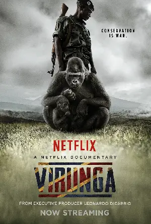 비룽가 포스터 (Virunga poster)