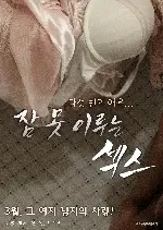 잠 못 이루는 섹스 포스터 ( poster)