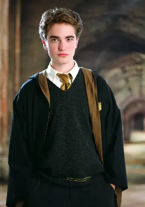 해리 포터와 불의 잔 포스터 (Harry Potter and the Goblet of Fire poster)