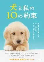 강아지와 나의 열 가지 약속 포스터 (10 Promises to My Dog poster)