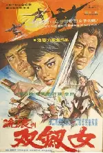 유랑의 쌍검녀 포스터 (Wondering woman with two swords poster)