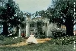바람과 함께 사라지다 포스터 (Gone with the Wind poster)