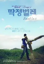 딱정벌레 포스터 (Beetles poster)
