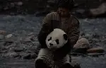 팬더의 집으로 가는 길 포스터 (Touch of the Panda poster)