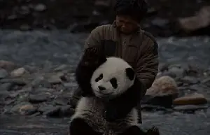 팬더의 집으로 가는 길 포스터 (Touch of the Panda poster)