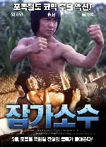 잡가소수 포스터 (Knockabout poster)